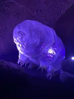 研究室で大阪万博に行ってきました